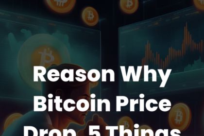 Reason-why-bitcoin-price-drop-today